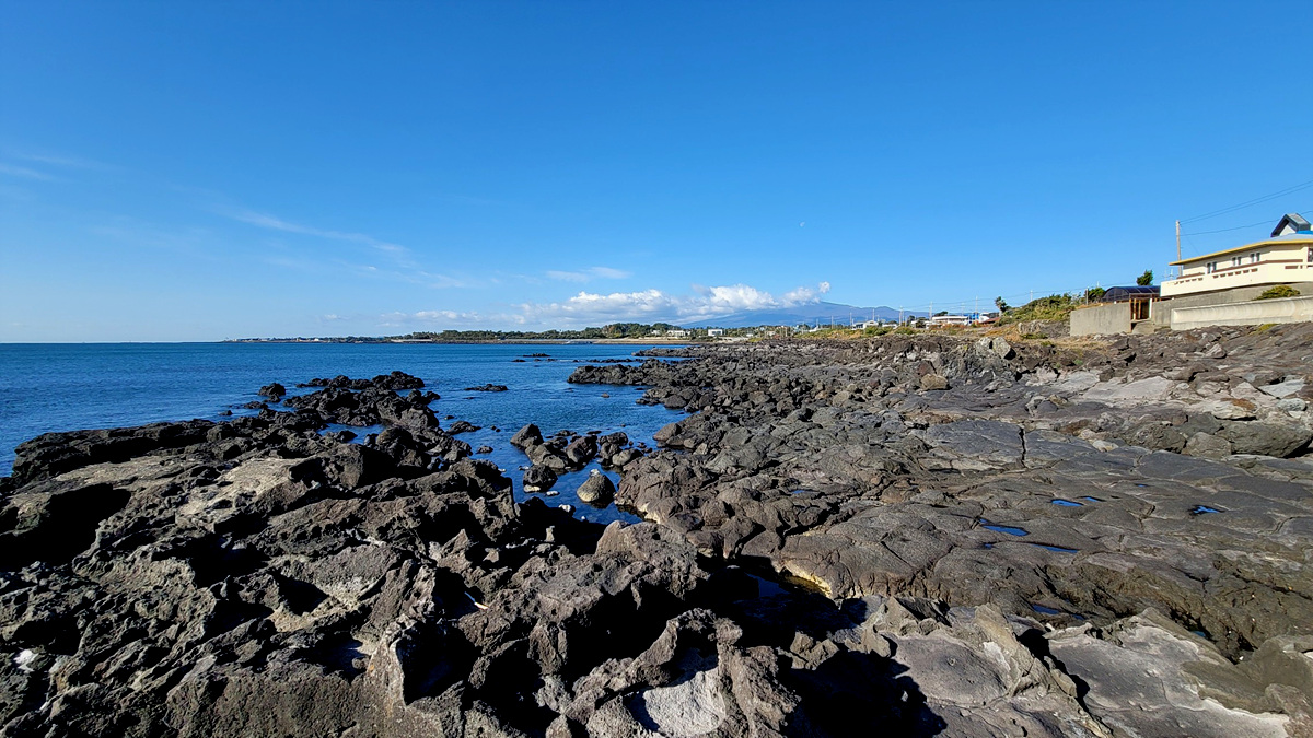 제주 표선 6킬로 로스터기 SOP-06 설치 로스팅 머신 로스팅머신20260227 01로스터기 추천